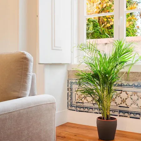 Iconic 6br Luxury In Center Apartment